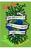 Rain Forest, Amazon Fires & Climate Change