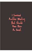 I Survived Another Meeting That Should Have Been An Email.