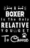 A Boxer is the only Relative you get to choose