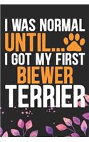 I Was Normal Until I Got My First Biewer Terrier