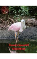 Roseate Spoonbill Sketchbook: (Sketchbook for Teens)