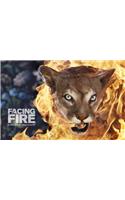 Facing Fire