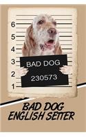 Bad Dog English Setter: Blank Cookbook Recipes & Notes Featuring 120 Pages 6x9