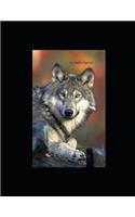My Wildlife Sightings