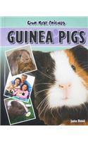 Guinea Pigs