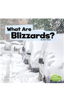 What Are Blizzards?