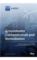 Groundwater Contamination and Remediation