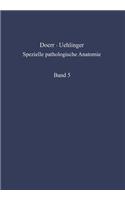 Grundzüge Einer Historischen Und Geographischen Pathologie / Pathological Anatomy of Mediterranean and Tropical Diseases