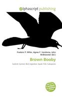 Brown Booby