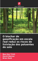 O biochar de gaseificação em escala real reduz os riscos de lixiviação dos poluentes do solo