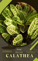 Calathea: Prodigy Petal, Plant Guide