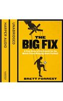 The Big Fix