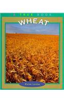 Wheat
