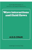 Wave Interactions and Fluid Flows