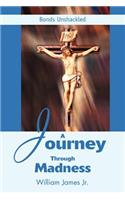 A Journey Through Madness: Bonds Unshackled(English)