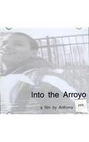 Into the Arroyo