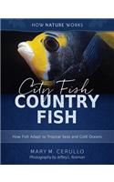 City Fish Country Fish