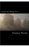 Far from the Madding Crowd