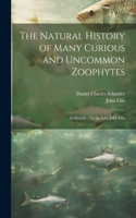 Natural History of Many Curious and Uncommon Zoophytes