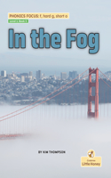 In the Fog: (My Nonfiction Decodable Readers)