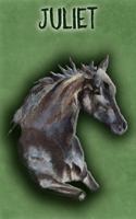 Watercolor Mustang Juliet