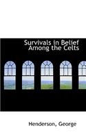 Survivals in Belief Among the Celts