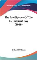 The Intelligence of the Delinquent Boy (1919)