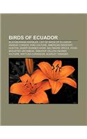 Birds of Ecuador: Blackburnian Warbler, List of Birds of Ecuador, Andean Condor, King Vulture, American Redstart, Hoatzin, Sharp-Shinned