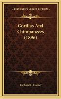 Gorillas And Chimpanzees (1896)