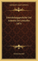 Entwickelungsgeschichte Und Anatomie Der Lenticellen (1873)