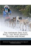 The Iditarod Dog Sled Race