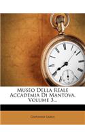 Museo Della Reale Accademia Di Mantova, Volume 3...