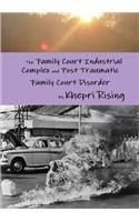 Family Court Industrial Complex and Post Traumatic Family Court Disorder