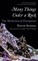 Many Things Under a Rock - The Mysteries of Octopuses