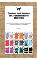 Stephens Stock Mountain Cur 20 Selfie Milestone Challenges Stephens Stock Mountain Cur Milestones for Memorable Moments, Socialization, Fun Challenges Volume 2