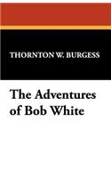 The Adventures of Bob White