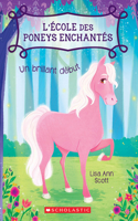 L' ?cole Des Poneys Enchant?s: N? 1 - Un Brillant D?but