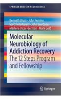 Molecular Neurobiology of Addiction Recovery