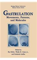 Gastrulation