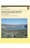 Sagebrush Steppe Vegetation Monitoring in Lake Roosevelt National Recreation Area