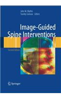 Image-Guided Spine Interventions