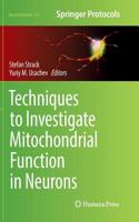 Techniques to Investigate Mitochondrial Function in Neurons