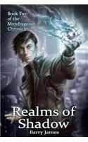 Realms of Shadow: (Mondragoran Chronicles)