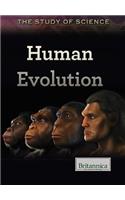 Human Evolution