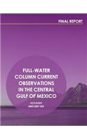 Full-Water Column Current Observations in the Central Gulf of Mexico Final Report