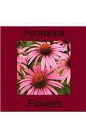 Perennial Flowers