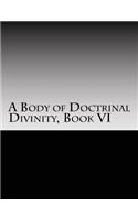 A Body of Doctrinal Divinity, Book VI