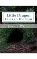 Little Dragon Flies in the Sun