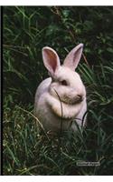 Journal Pages - Rabbit Run: 6" x 9", Lined Journal, Durable Cover,150 Pages For Writing (Journal Notebook)