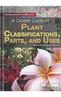 Closer Look at Plant Classifications, Parts, and Uses